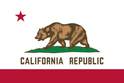 California Flag Pool Float Floatie